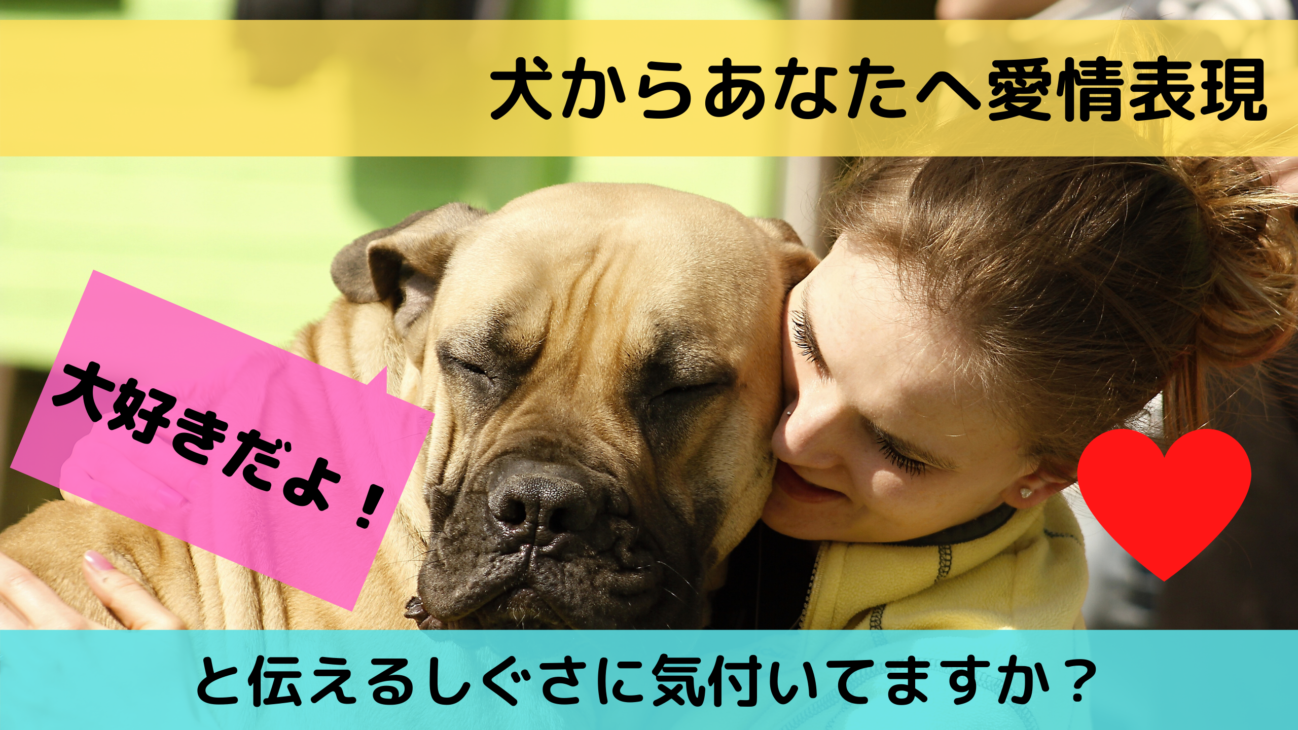 犬からあなたへ愛情表現 大好きだよ と伝えるしぐさに気付いてますか イヌノコエ